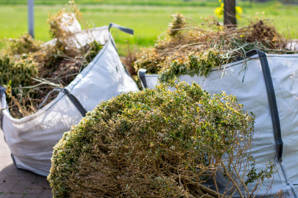 Best Garage Cleanout Services  in East Valley, NV